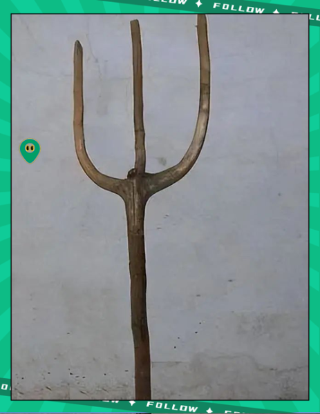 古代农具有哪些_传统农具名称大全