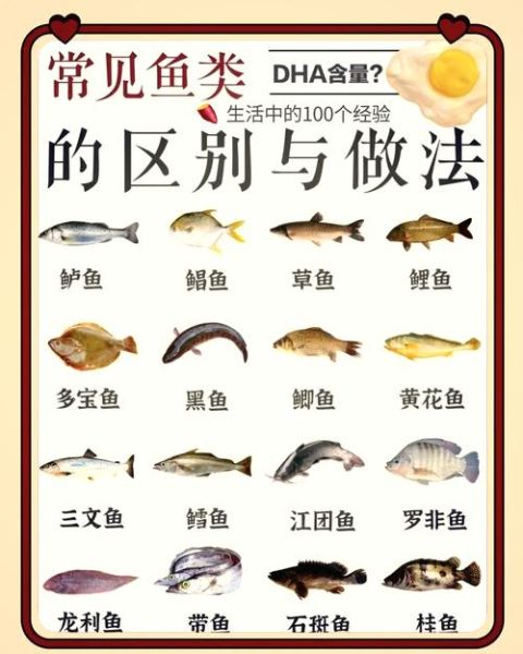 吃鱼有什么好处_怎样挑选新鲜鱼
