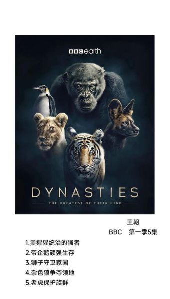 bbc历史纪录片大全_有哪些值得一看