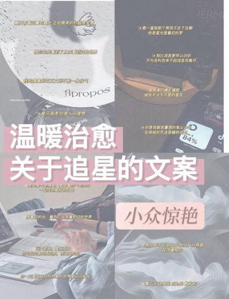 学艺术怎么追星_追星文案怎么写