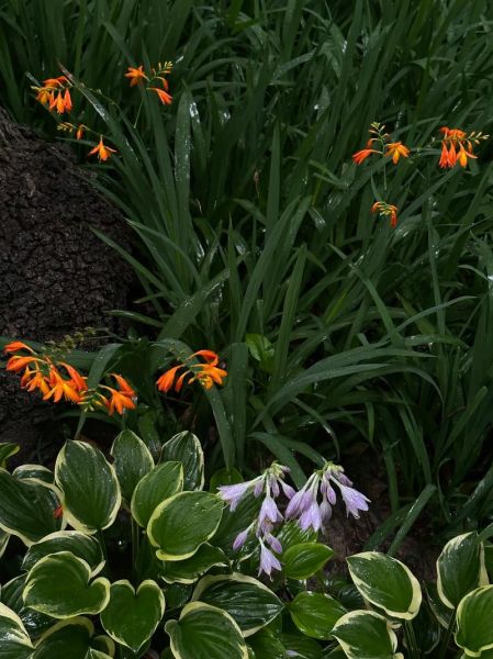 很满意生活是什么_如何打造很满意生活