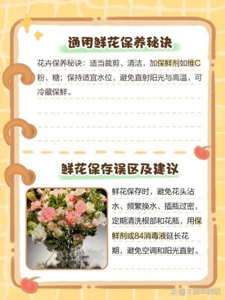 鲜花怎么选_鲜花如何养护更久