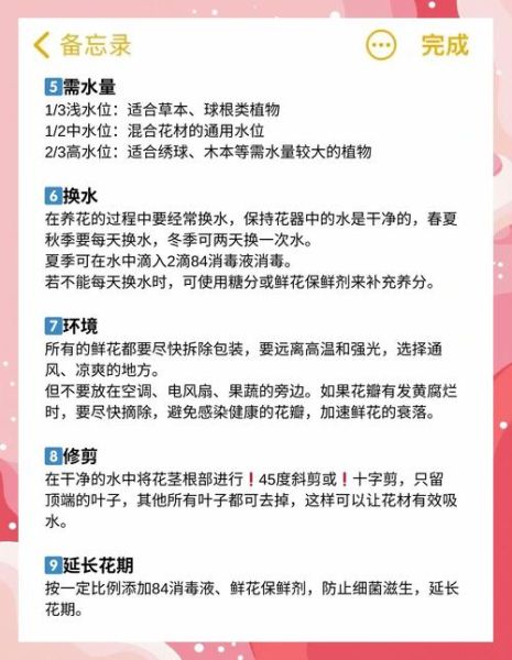 鲜花怎么选_鲜花如何养护更久