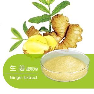 上海创辰生物科技怎么样_产品有哪些