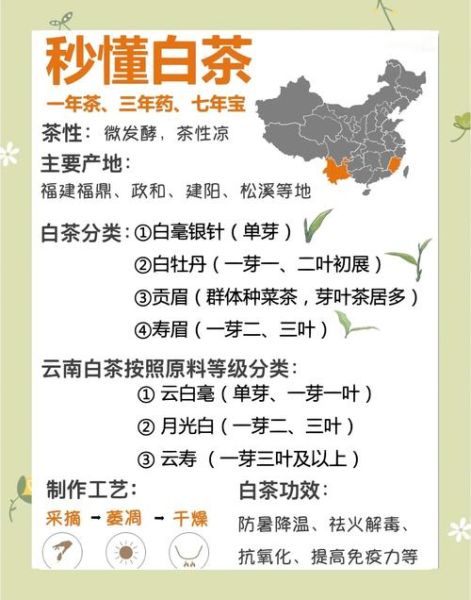 白茶历史大全_白茶起源与演变