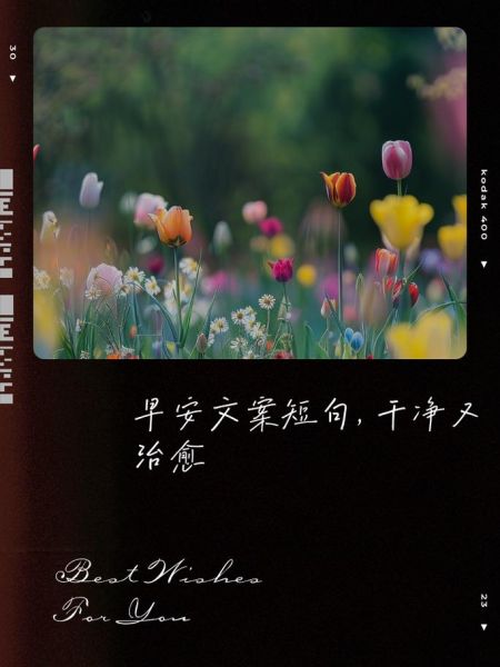 早安句子怎么写_生活文案如何打动人心