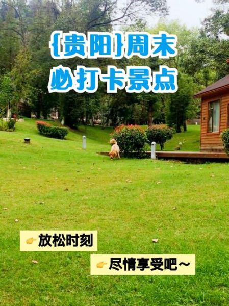 周末怎么过_周末去哪玩