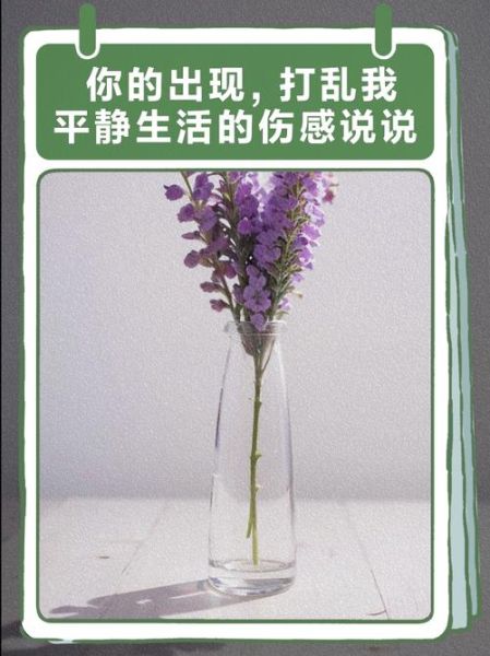 平静生活被打乱怎么办_如何快速恢复秩序