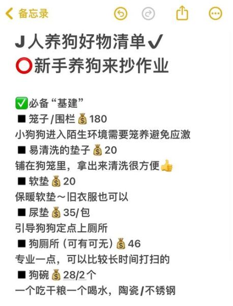 和狗一起生活要注意什么_新手养狗准备清单