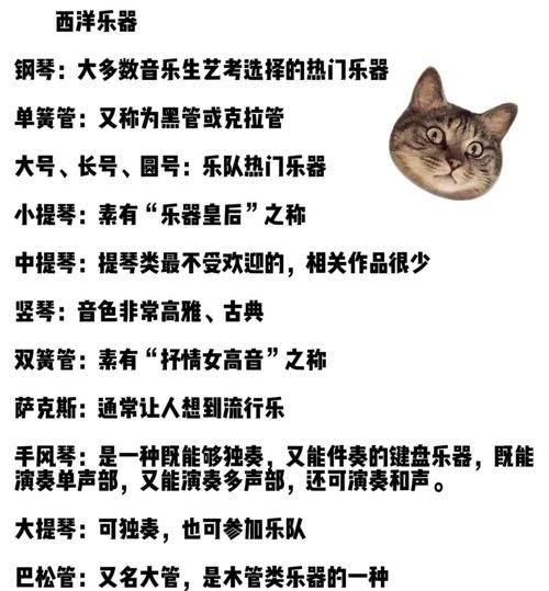 艺术生乐器选择_艺考乐器推荐