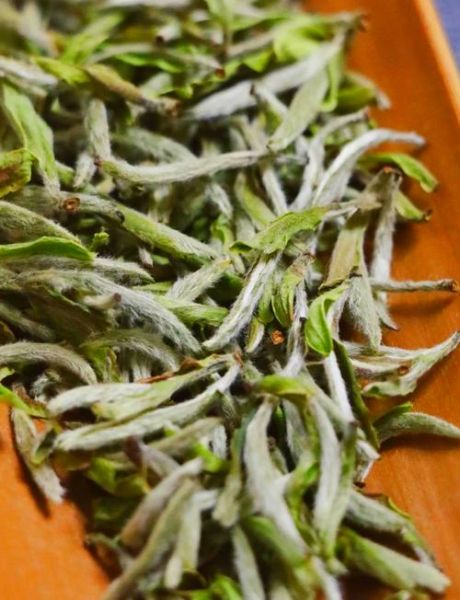 历史名茶图片大全_如何辨别真假老茶