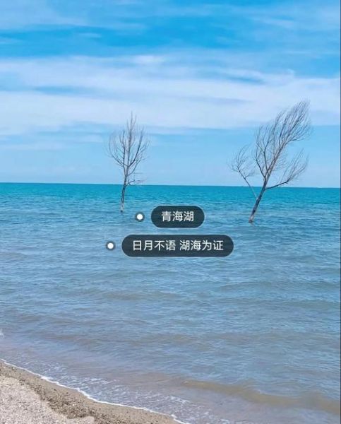 生活印记是什么_如何留下生活印记