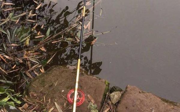 古代钓鱼方法有哪些_传统钓技与现代区别