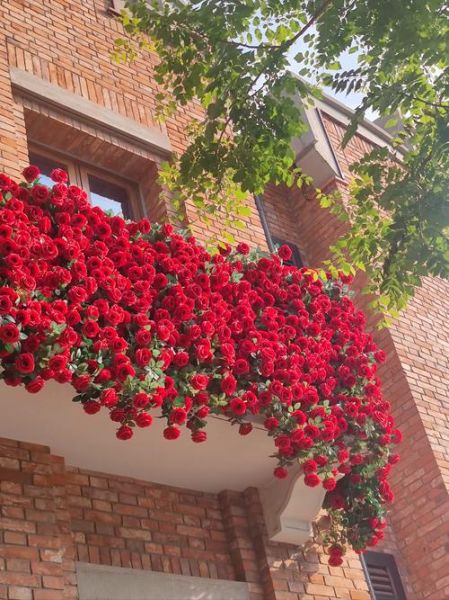 艺术花墙怎么设计_艺术花墙用什么花