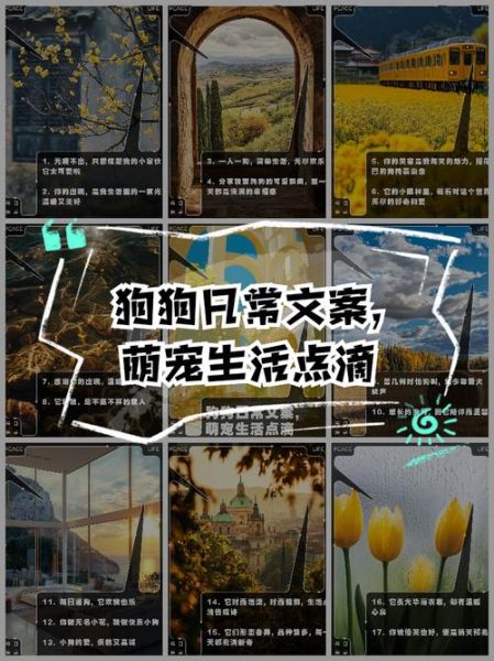 可爱生活文案怎么写_日常分享怎么吸引人
