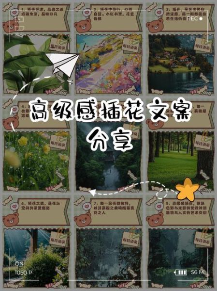 如何欣赏高雅艺术_高雅艺术文案怎么写