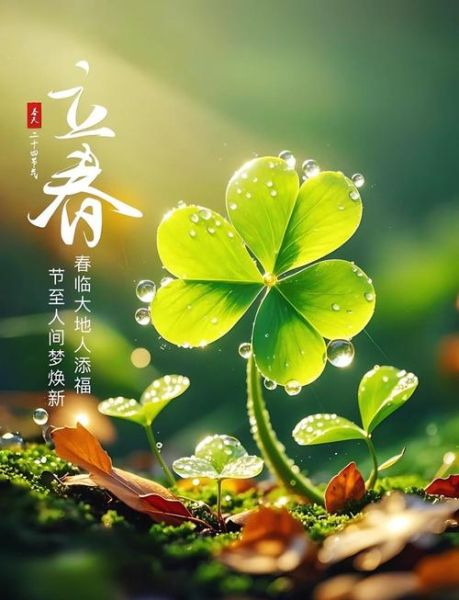 立春文案艺术培训_如何写出节气高级感