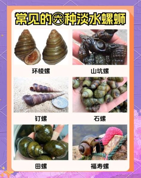 螺丝是谁发明的_螺丝的历史起源