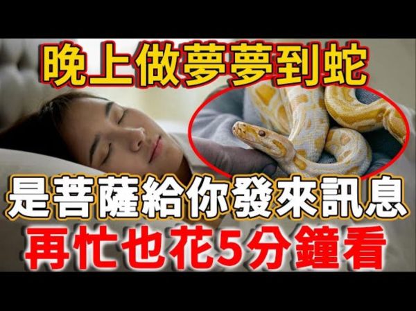 周公解梦大全查询_梦见蛇是什么意思