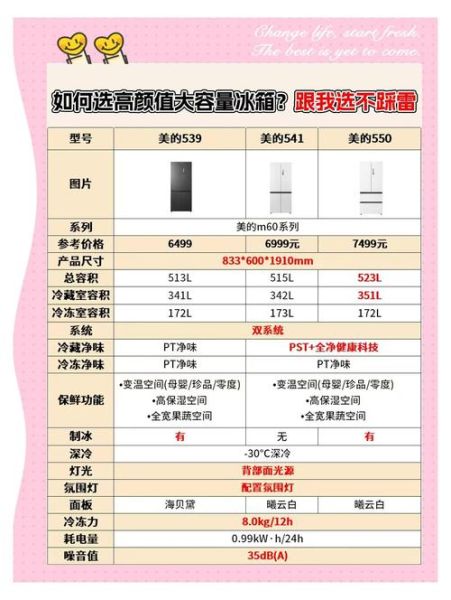 如何挑选适合自己的冰箱_冰箱买多大容量才够用
