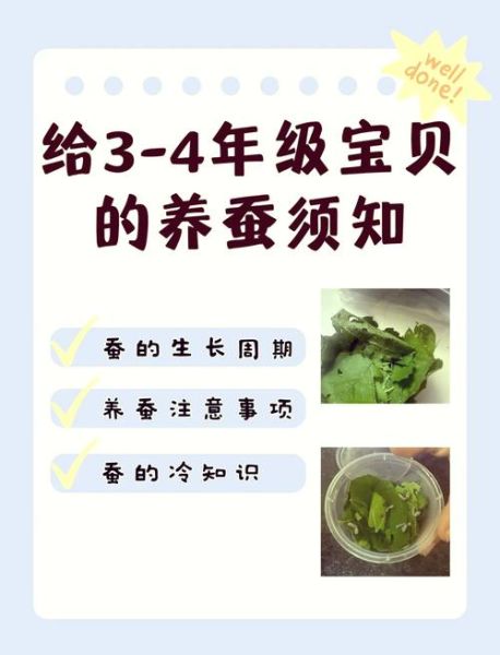 蚕宝宝艺术文案怎么写_蚕宝宝艺术文案有哪些创意