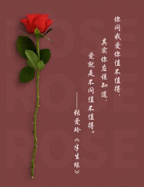 玫瑰艺术文案怎么写_玫瑰文案如何打动人心