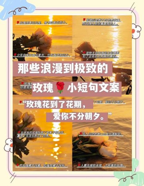 玫瑰艺术文案怎么写_玫瑰文案如何打动人心