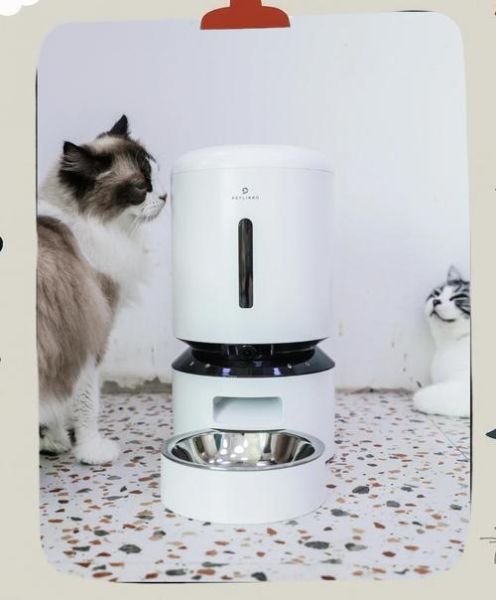 宠物智能喂食器哪个牌子好_怎么选自动投喂机