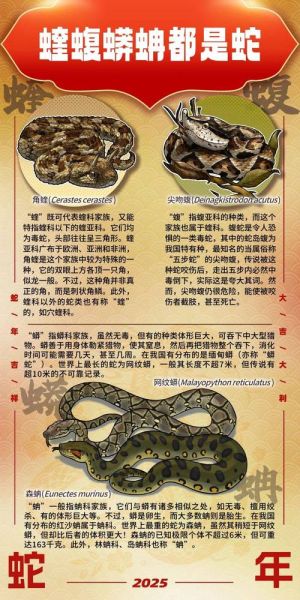 毒蛇历史大全_毒蛇是怎么进化的