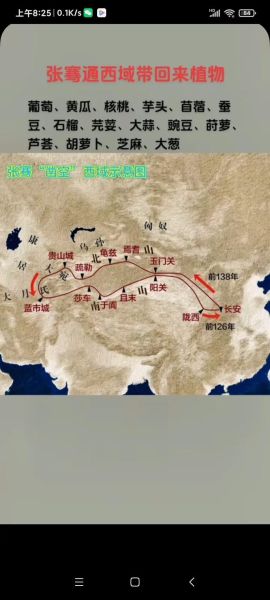 丝绸之路历史故事有哪些_张骞出使西域经过