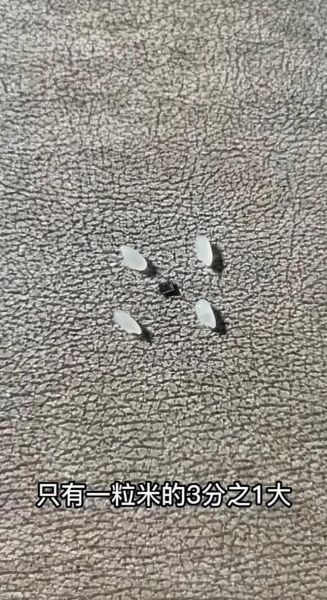 比米粒还小的芯片是什么_如何制造