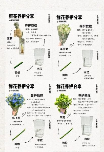 鲜花怎么养才能花期长_生活有鲜花如何选花