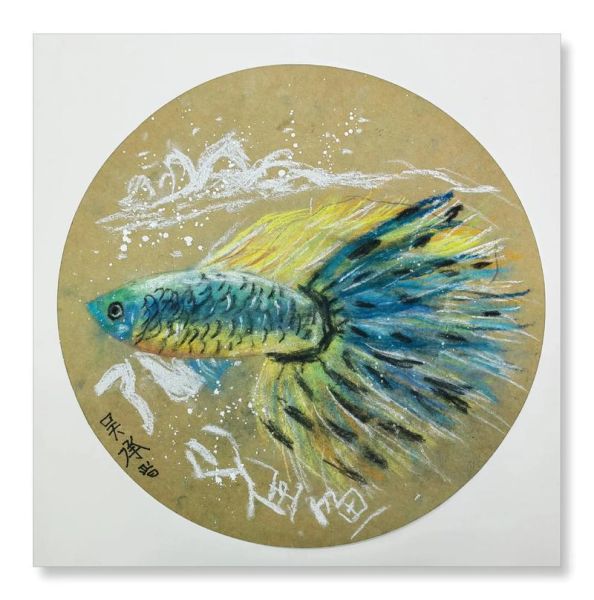 艺术鱼怎么样_艺术鱼值得买吗