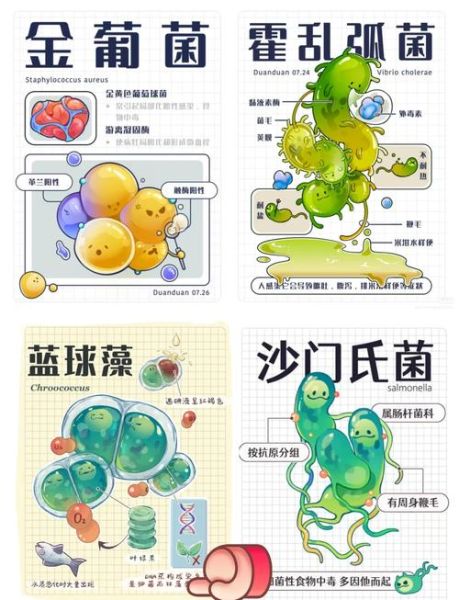艺术细菌是什么_艺术细菌如何培养