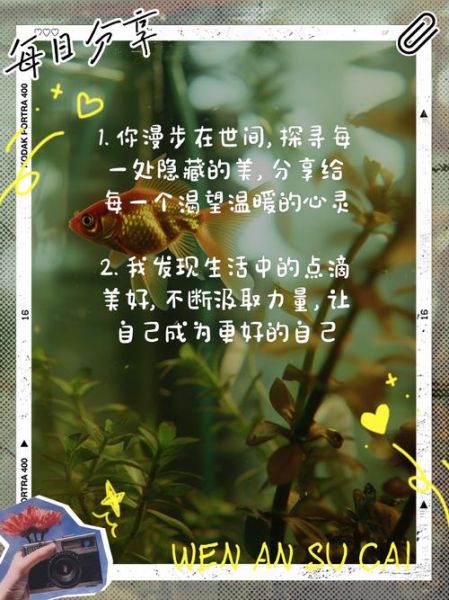 生活中处处都是美_如何发现