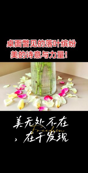 生活中处处都是美_如何发现