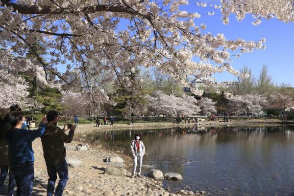 艺术春来了门票价格_艺术春来了值得去吗