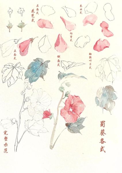 国画有哪些分类_国画入门先学什么