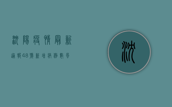 沈阳疫情最新通报48号，新增病例数、风险区域与防控措施全解析