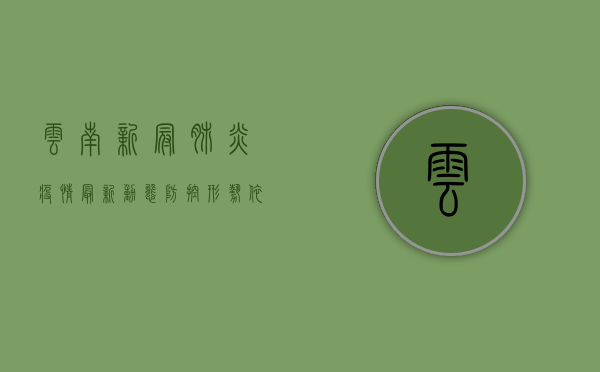 云南新冠肺炎疫情最新动态，防控形势依然严峻，全民共筑防线