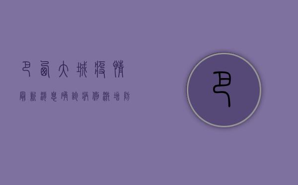 巴西大城疫情最新消息，确诊病例激增，防控形势严峻