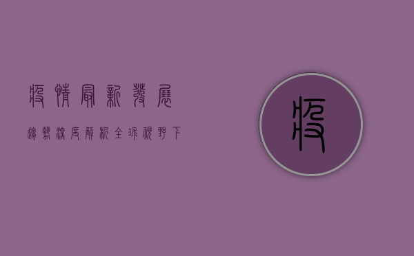 疫情最新发展趋势深度解析，全球视野下的防控与挑战