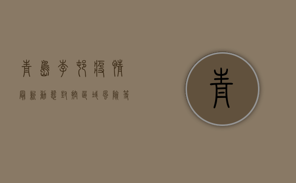 青岛李村疫情最新动态，封控区域、风险等级与防控措施全解析