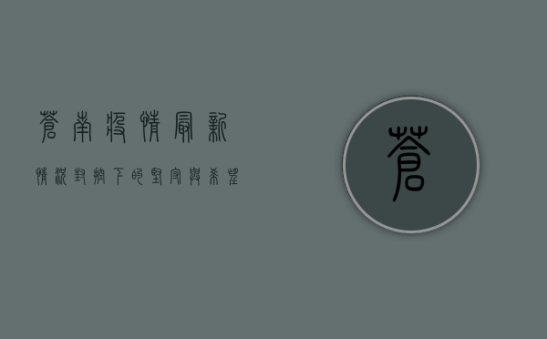 苍南疫情最新情况，封控下的坚守与希望