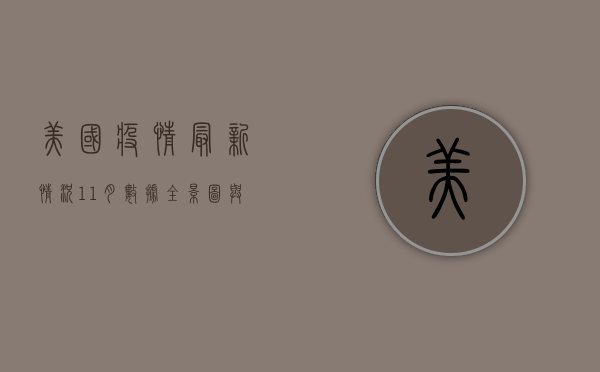 美国疫情最新情况，11月数据全景图与深度解析