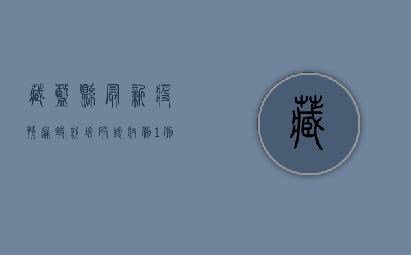 藏蓝县最新疫情通报，新增确诊病例1例，防控措施全面升级