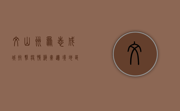 文山州众志成城抗击疫情 筑牢边境地区安全防线