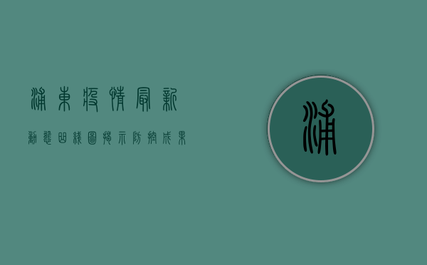 浦东疫情最新动态，曲线图揭示防控成果与挑战