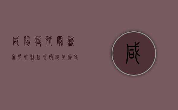 咸阳疫情最新通报，乾县新增确诊病例，疫情防控形势依然严峻