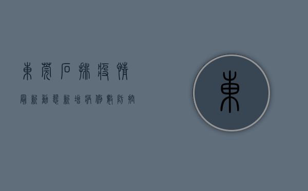 东莞石排疫情最新动态，新增病例数、防控措施及生活影响全解析